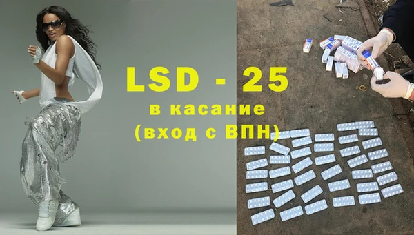 стаф Богданович