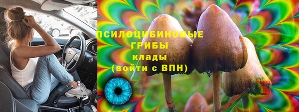 наркотики Белокуриха