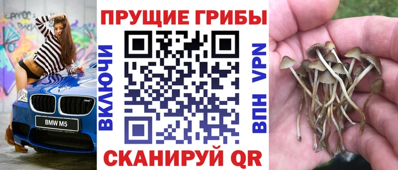 Псилоцибиновые грибы Psilocybine cubensis  Богучар 