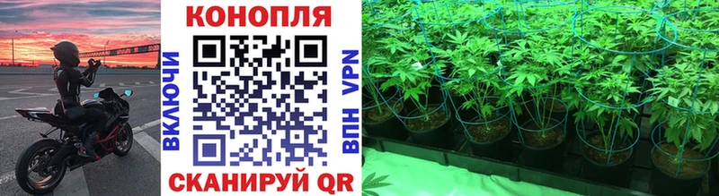 Каннабис ГИДРОПОН  наркотики  Богучар 